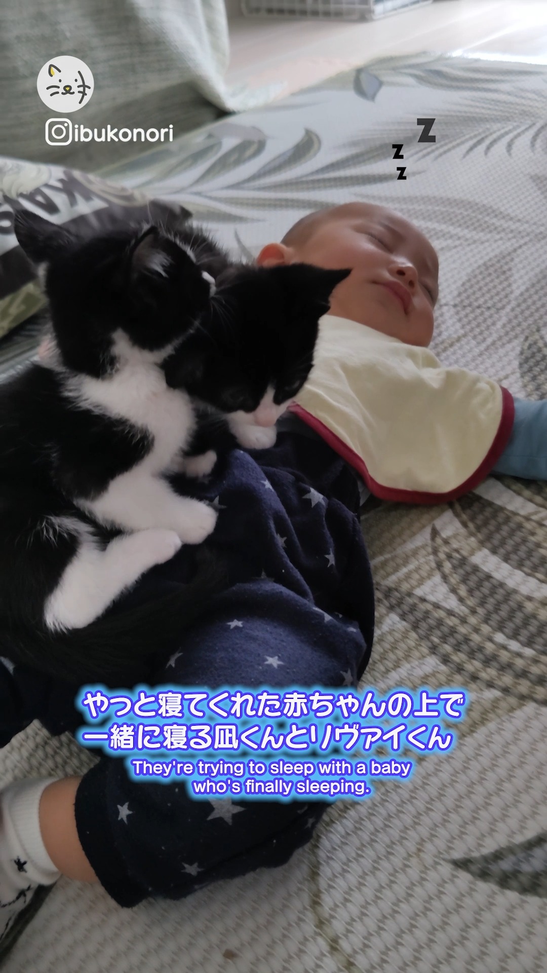 可愛いの大渋滞？？💓赤ちゃんの上でまったりする子猫ちゃんをご覧ください👶😽🍼