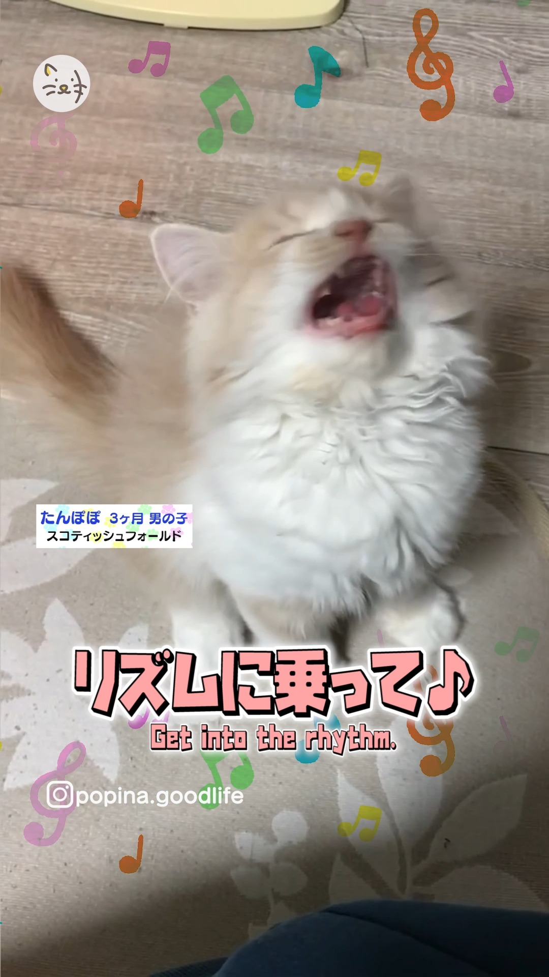 大きく口を開けてしっかり発声！？👀✨たんぽぽくんの歌声聞いてみてね😽♪