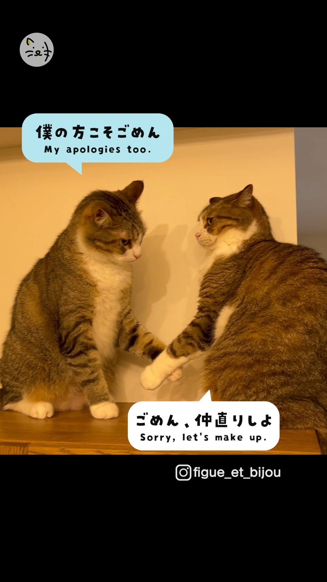 これぞ青春？✨喧嘩後の仲直りの方法が爽やかすぎる2人の登場😺✨