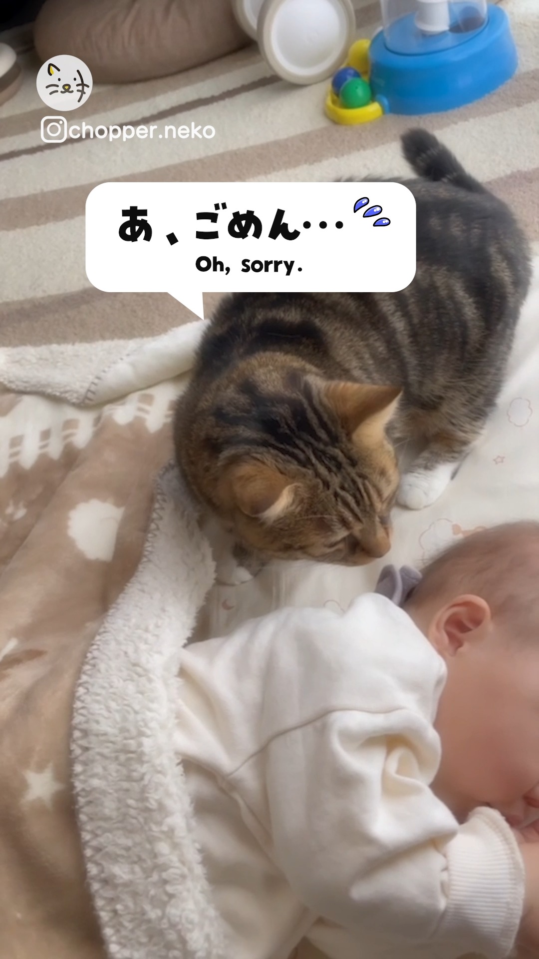 ほっこり癒しをお届け😽💓チョッパーくんは赤ちゃんと一緒に寝たいんです😸✨