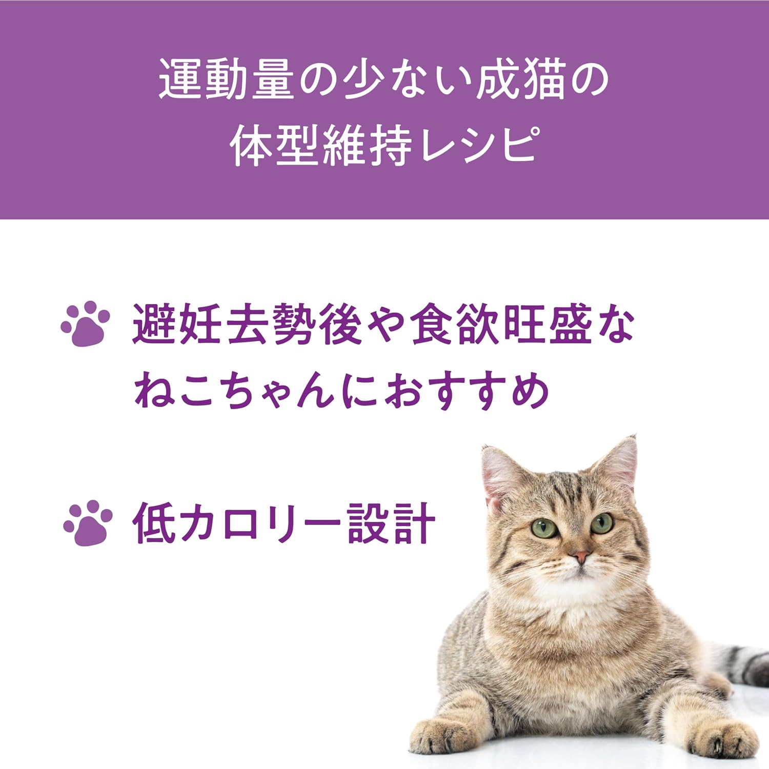 【Catit(キャットイット)】Recipes(レシピ―ズ)INDOOR 室内猫用 チキン 400g
