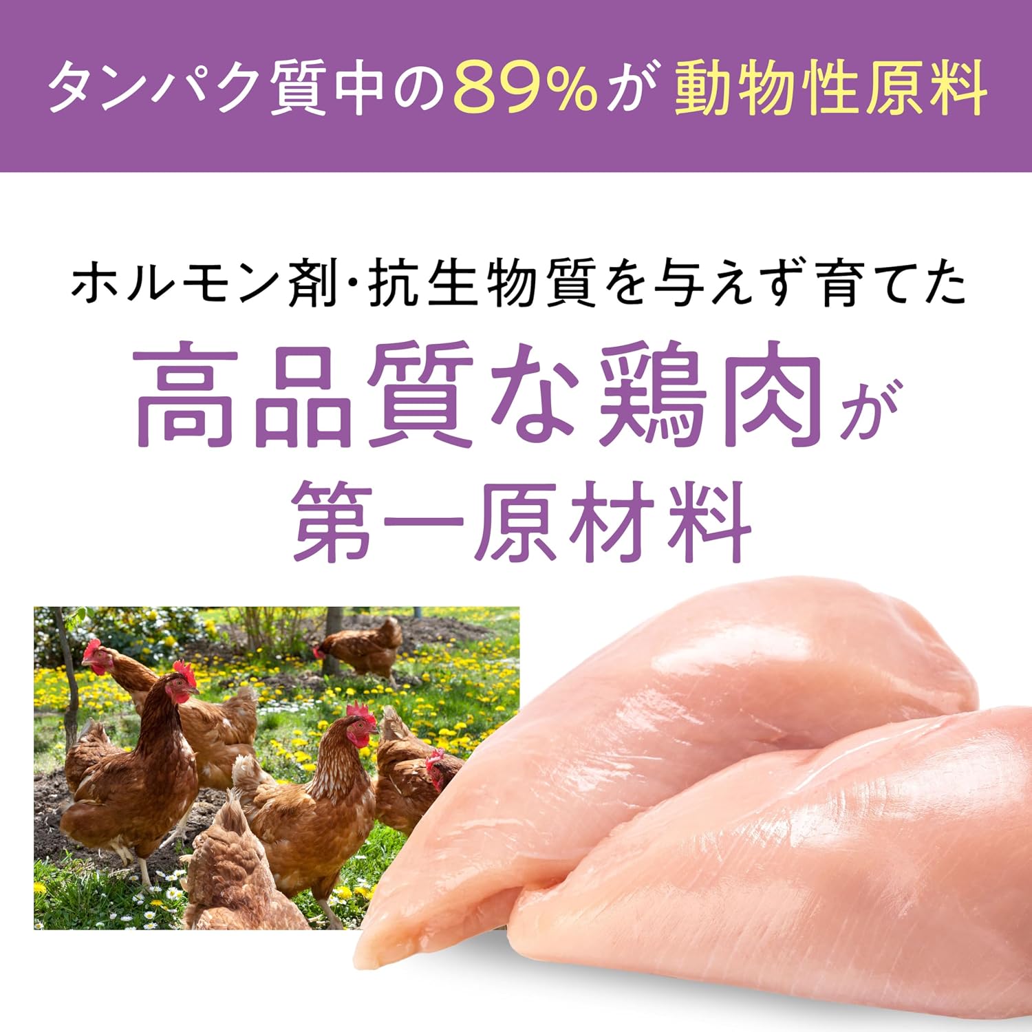 【Catit(キャットイット)】Recipes(レシピ―ズ)INDOOR 室内猫用 チキン 400g