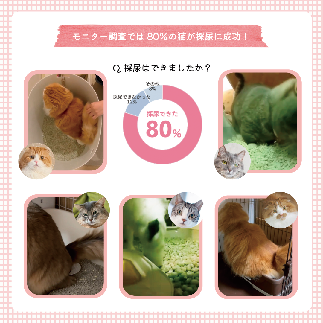 おしっこチェックセット nyanpling®(ニャンプリング)