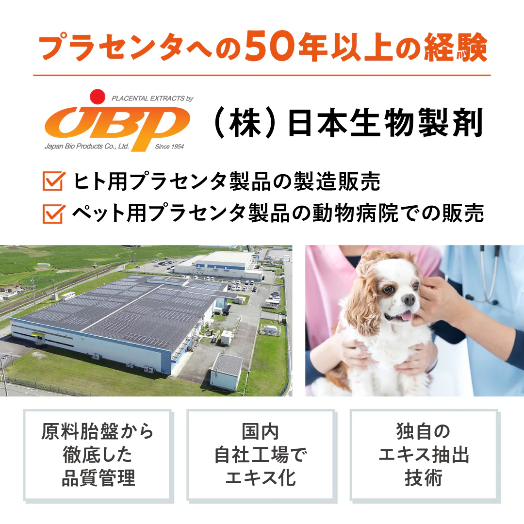 JBPETプラセンタサプリ ペースト