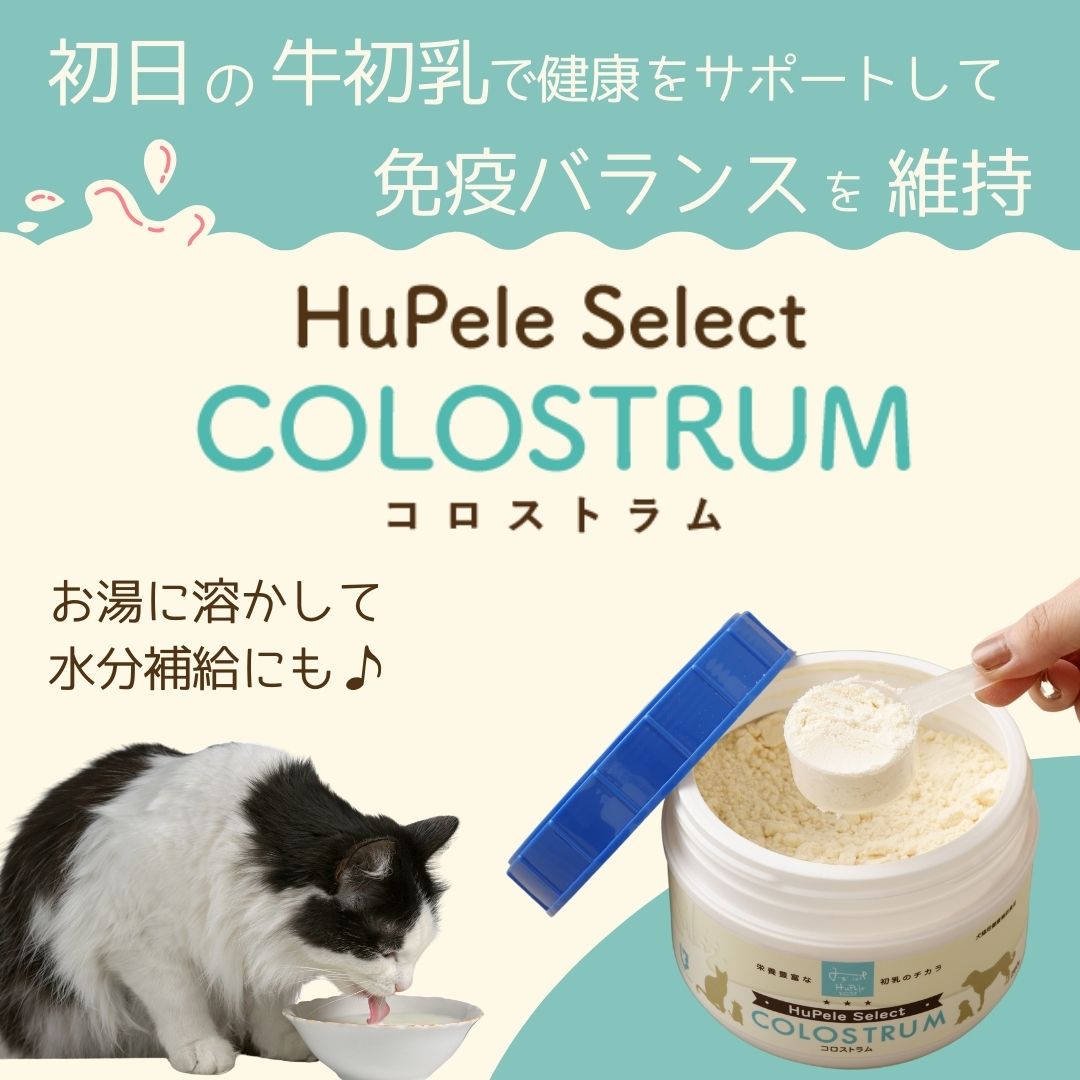 初乳サプリメント「HuPele Select COLOSTRUM(ヒューペルセレクト コロストラム)」