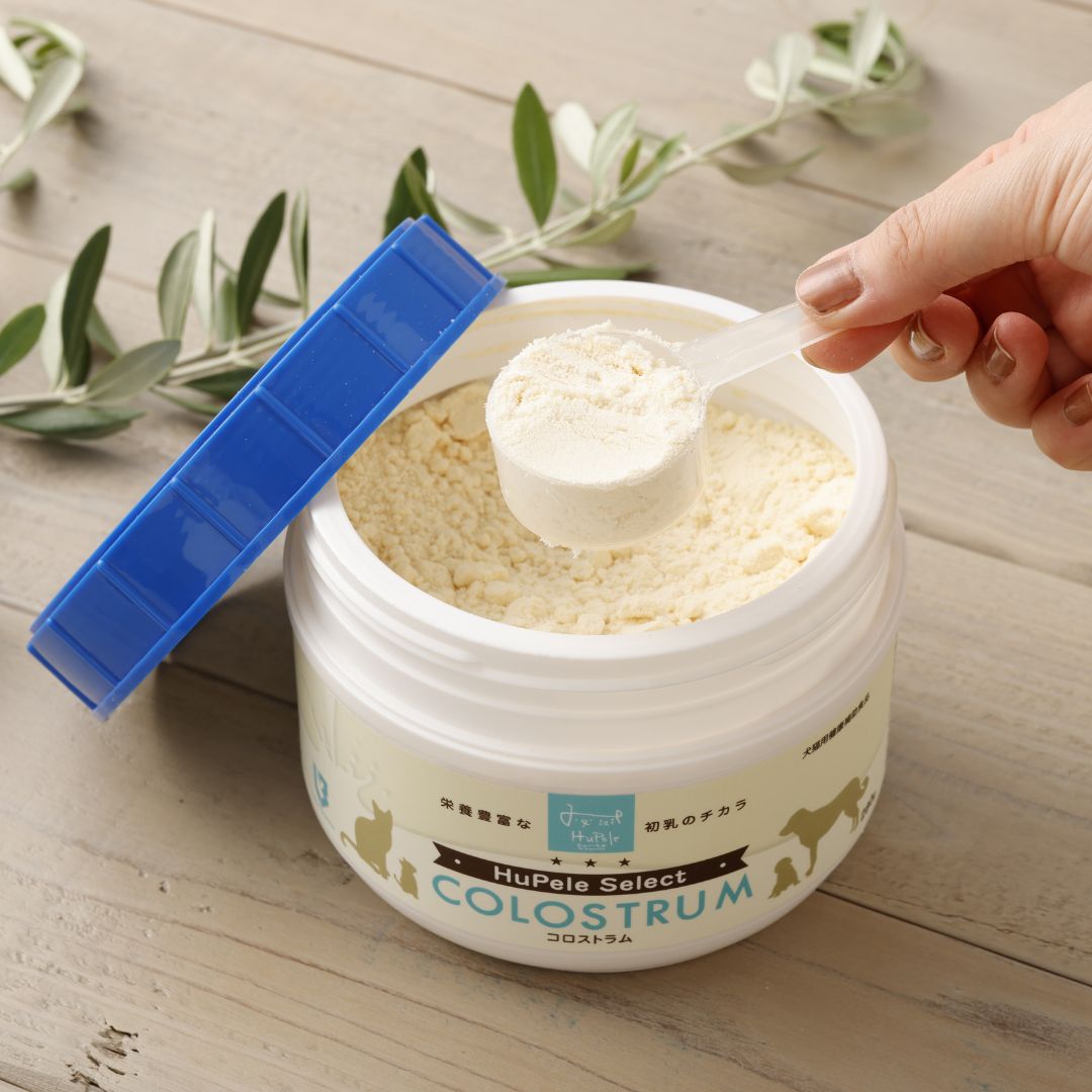 初乳サプリメント「HuPele Select COLOSTRUM(ヒューペルセレクト コロストラム)」