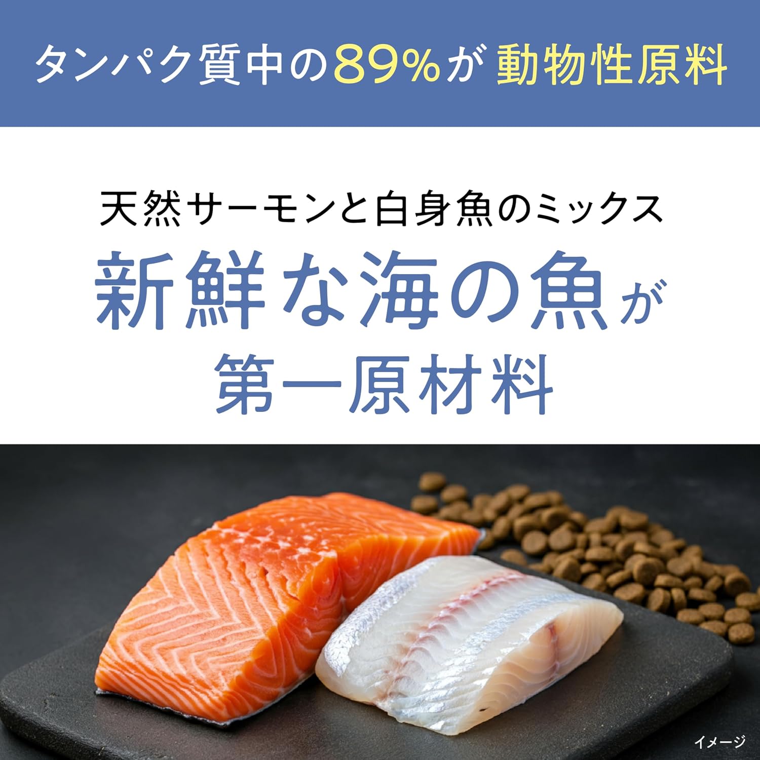 【Catit(キャットイット)】Recipes(レシピ―ズ)SKIN & COAT 被毛ケア 成猫用 フィッシュ 400g