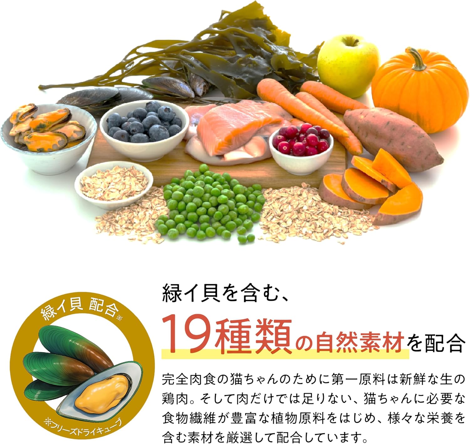 【Catit(キャットイット)】Recipes(レシピ―ズ)SKIN & COAT 被毛ケア 成猫用 フィッシュ 400g
