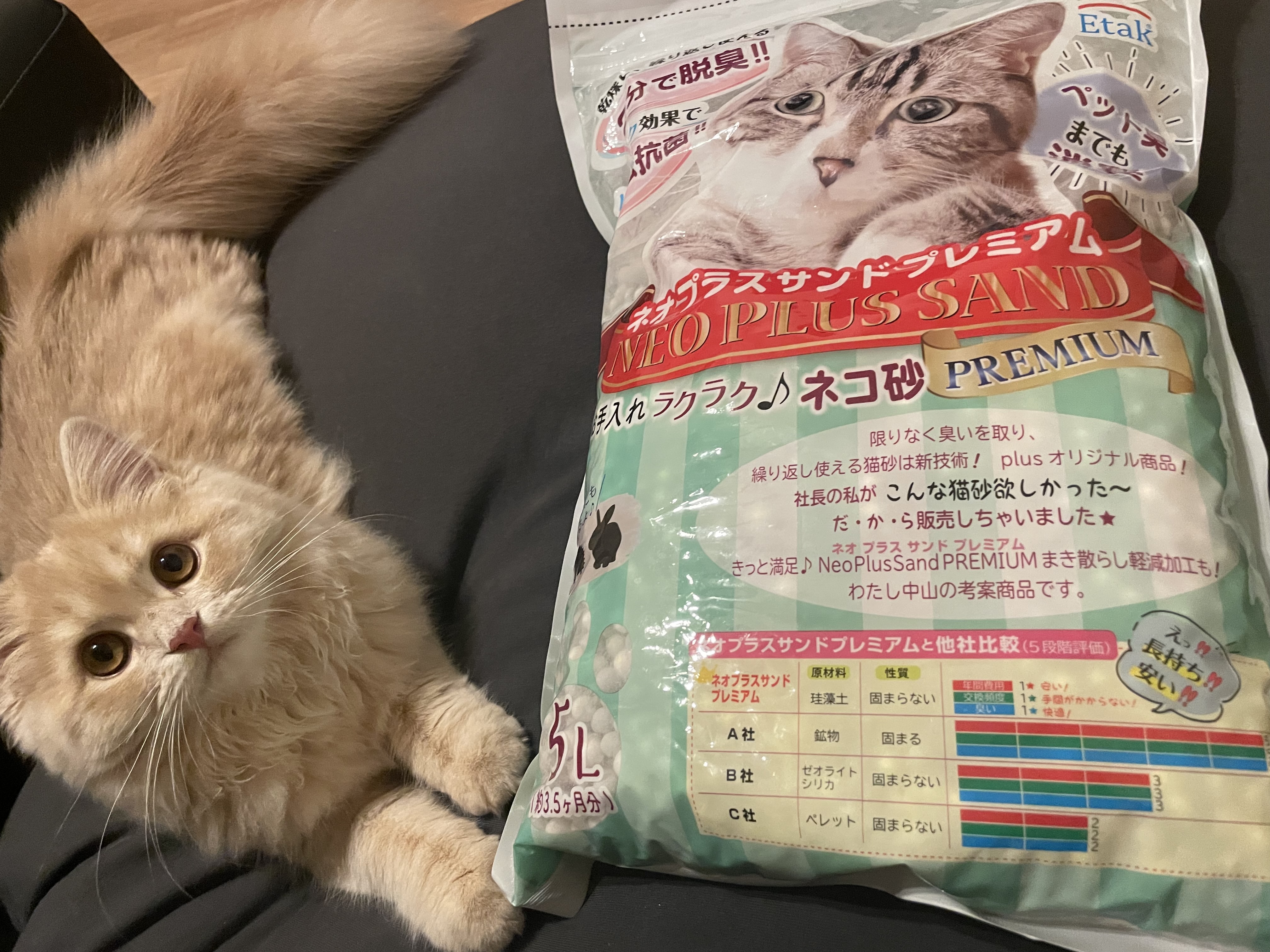 NeoPlusSand ネオプラスサンド 珪藻土 猫砂 5L 脱臭 乾燥 抗菌 Etak使用