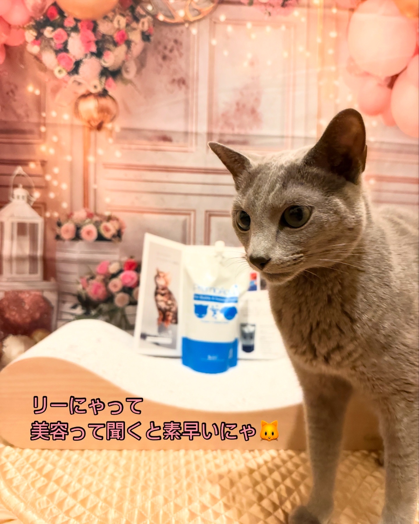 美容に目のないRiZE🤣
酸素水って聞いたら、るふなを退けグビグビ飲んでました😽
残ったお水は、きっちり飲めるように、毎夜のちゅーる水に使わせていただこうと思います